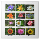 Search for garden care posters Nature