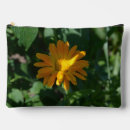 Search for calendula bags Floral
