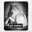 Recherche de humour chat tapis souris Adorable