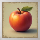 Search for nectarine Fruit