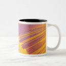 Search for acidic mugs Chemistry