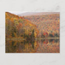 Search for autumn forest postcards Red