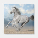 Recherche de n arabe magnets Gris
