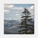 Search for seating magnets Tree