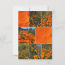 Search for ca note cards Poppy