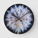 Search for heads up clocks Colour image