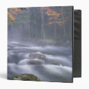 Search for mist binders Landscape