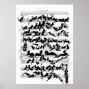 Recherche de symphonie posters Dessin