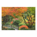 Recherche de arbre japonais posters Feuillage