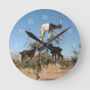 Recherche de chèvres horloges Drôle