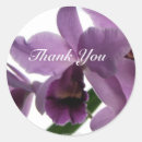 Recherche de orchidée violette autocollants Orchidées violettes
