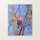 Search for cardinal puzzles Blue