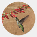 Search for feeding stickers Animal