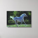 Recherche de pur art Étalon