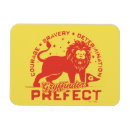 Recherche de gryffindor magnets Poudlard