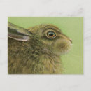 Search for hare paintings postcards Animal