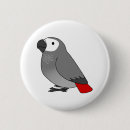 Search for african greys buttons Cute