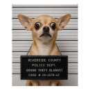 Search for funny dog picture posters Chihuahua
