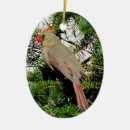 Search for female cardinal ornaments Red