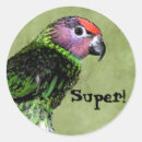 Recherche de t oiseau autocollants Pour enfants