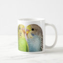 Recherche de peinture de perruche Oiseau