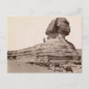 Search for sphinx postcards Desert
