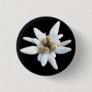 Recherche de alpine badges Fleur