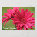 Search for pink gerbera daisy invitations Bridal