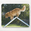 Search for agile mousepads Agility