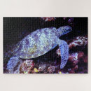 Search for sea turtles puzzles Beautiful