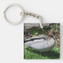 Search for australian bird keychains Wildlife