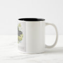Recherche de castor tasses Illustration