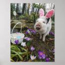 Search for easter pig Funny
