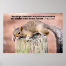Recherche de rongeur posters Nature
