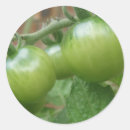 Search for green tomato stickers Tomatoes