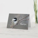 Search for capped chickadee cards Songbird