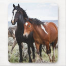 Recherche de troupeau chevaux tapis souris Cheval sauvage
