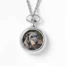 Recherche de irish montres Animal