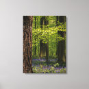 Search for bluebell canvas prints Nature