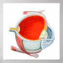 Search for low section posters Digitally generated image