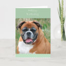 Search for boxer dog birthday cards Animal
