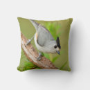 Recherche de habitat coussins Larry ditto