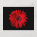 Recherche de flowers cartes postales Bouquet