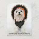 Recherche de ski chien cartes invitations Neige