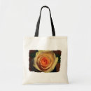 Search for rose bloom accessories Photography
