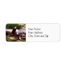 Search for bald eagle return address labels Wildlife
