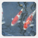 Search for koi fish pond stickers Outdoors
