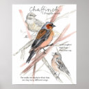 Recherche de oiseaux chanteurs posters Toute personne