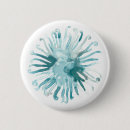 Search for 2 round buttons Blue