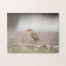 Search for robin puzzles Songbird